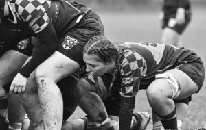 Match Les Gorillas VS St Geneviève Sports Rugby